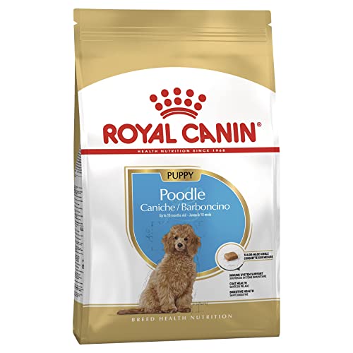 Royal Canin Poodle Puppy 3 kg Alleinfuttermittel für Pudel-Welpen Bis zum 10. Monat Zur Unterstützung der Abwehrkräfte Fellqualität Mit Omega-3 Antioxidantien