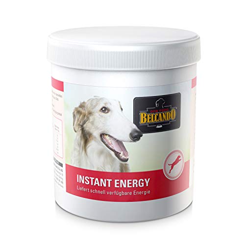 BELCANDO Instant Energy 500 g Energieversorgung für Hunde in Wettkampfbedingungen Ergänzungsfutter für Hunde