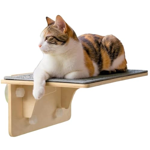 Katzen Fensterplatz Für Innen Holz Klettersitz Mit Saugnapf Wandregal Als Schlafplatz Für Katzen Für Zuhause Wohnung Wohnzimmer Und Schlafzimmer