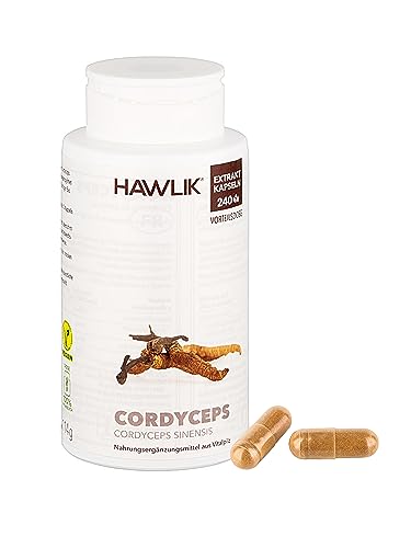 HAWLIK Vitalpilze Cordyceps CS-4 Extrakt Kapseln - 240 Kapseln - Mit Vitamin C - Vegan - Zuckerrohr-Dose