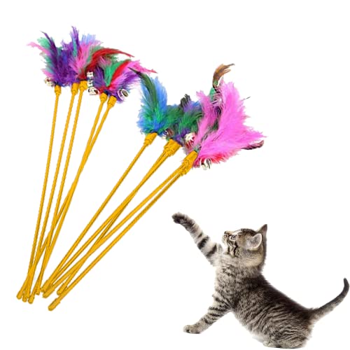 Lyra Pet 10 Stück Katzenangel Spielangel Spielzeug Katze