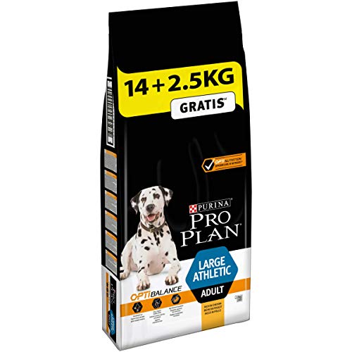  Dog Large Athletic Adult Reich an Huhn Trockenfutter Beutel