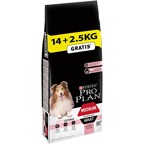  Sensitive Skin Lachs Trockenfutter Beutel