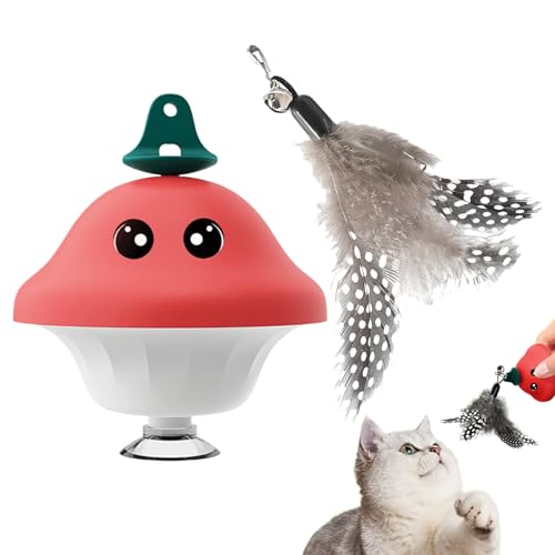 Generisch Katzenspielzeug Für Wohnungskatzen Sichere Interaktive Ziehschnur Katzenspielzeug Angel Für Kleine Mittelgroße Und Große Kätzchen Für Höfe Veranden Gärten Rasen Und Innenbereich