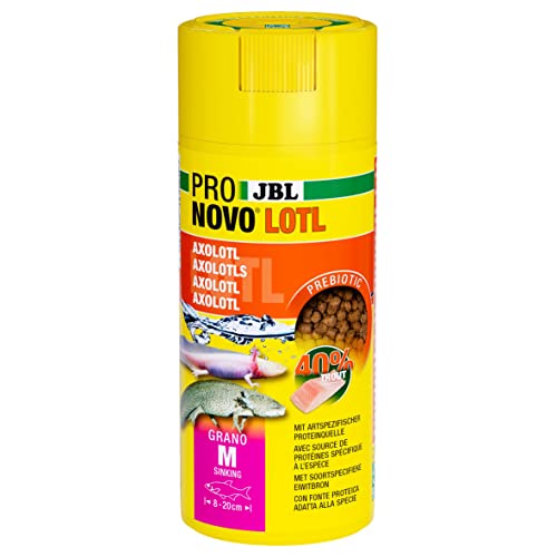 JBL PRONOVO LOTL GRANO Hauptfutter für Axolotl von 8 20 cm Granulat Größe M 250 ml