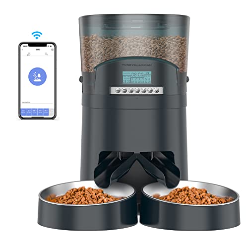 honeyguaridan Futterautomat Katze 2 näpfe 4.5L Katzenfutter Automat Futterautomaten Timer Blau