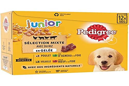 Pedigree Junior Selection Gelee Frischebeutel - Junior Hundefutter - 4 Verschiedene Geschmacksrichtungen - 48 Beutel 100g