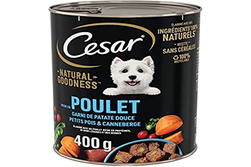 CESAR Natural Goodness 6 Dosen 400 g Terrine für ausgewachsene Hunde reich an Huhn gefüllt mit Süßkartoffel Erbsen Preiselbeeren feuchtes Hundefutter ohne Getreide
