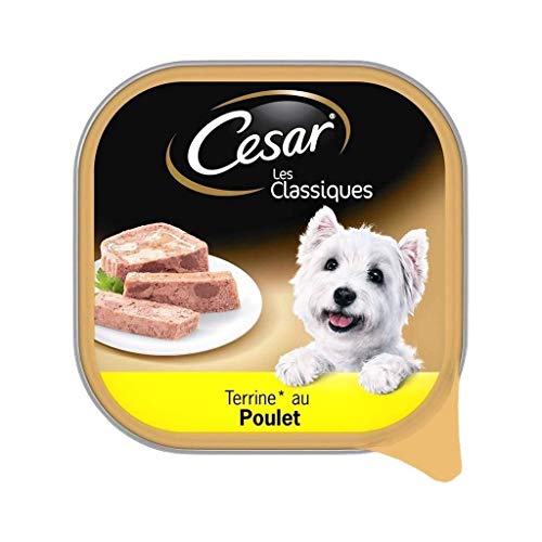 Cesar Hühnerschalen aus Terrine für Hunde 300 g