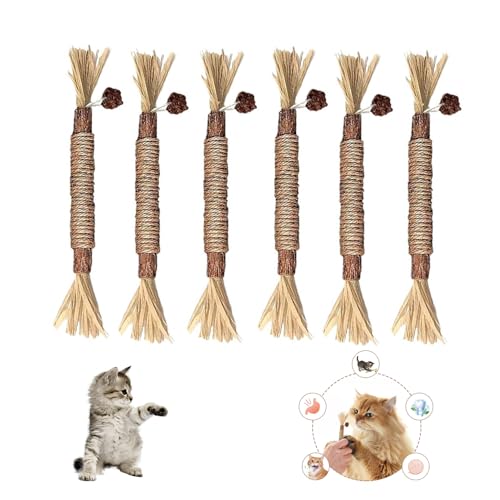 Huicare Selbstbeschäftigung Sticks Cat Toys Katzengras 6 Stück Zahnpflege Natürlich Sicher Katzensticks Kausticks