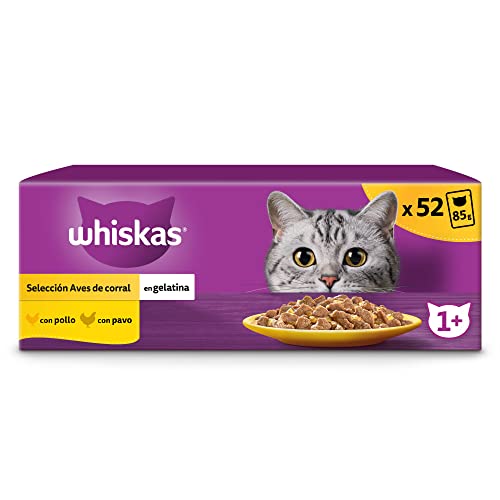 Whiskas Nassfutter für Erwachsene Katzen Auswahl Vögel in Gelatine 13 x 4 Beutel x 85 g