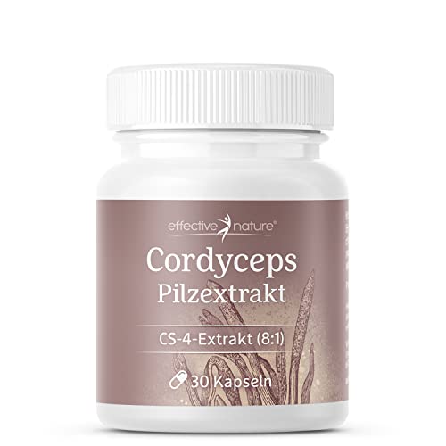 Cordyceps Kapseln hochdosiert mit 500 mg Cordyceps Extrakt pro Tag - 30 Kapseln - CS-4 Qualität - Chinesischer Raupenpilz im Verhältnis 8 1