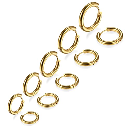 LIUJZZJ 5 Paare Gold Edelstahl Creolen Ohrringe Kleine Knorpel Hoop Ohrringe Nase Lippen Ringe für Männer und Damen 8 10 12 14 16mm