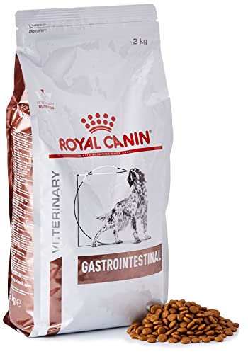 ROYAL CANIN Vet Diet Gastro Intestinal GI 25 2
