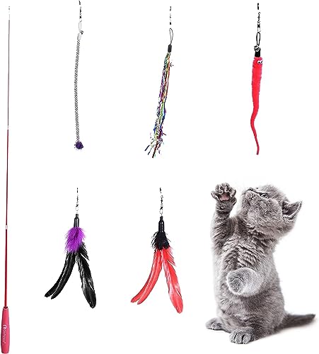 himaly katzenspielzeug Angel Katzenangel Spielzeug für Kätzchen und Katzen 1 Skalierbar Stangen 2 Federanhänger 3 Katzenspielzeug mit Glocke und Anhänger