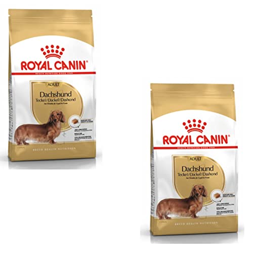 ROYAL CANIN Dachshund Adult Doppelpack 2 x 500 g Trockenfutter für ausgewachsene und ältere Dackel Zur Unterstützung der Knochen und Gelenke Zur Muskelentspannung