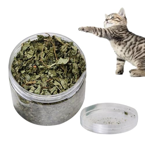 Natürliche Katzenminze 40 g natürliche Blätter Katzenminze Leckerli für die Zahnreinigung echte natürliche Blätter Katzenminze gesunde Katzensnacks zur Zahnreinigung Haarentfernung