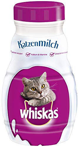 Whiskas Katzenmilch Kätzchen ab 6 Wochen Leckerer Snack eine glückliche Katze Laktosereduziert und leicht verdaulich Vorratspack 15 Flaschen 200ml