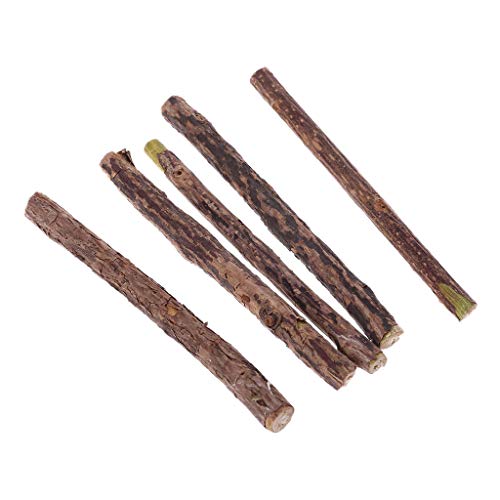 BUBEFSKD Natural Silvervine Sticks Für Matatabi Kautzähne Molar Katzenkätzchen Zähne Reinigung Mäuse Innenkatzen Interaktive Kugeln Federstab Interaktive