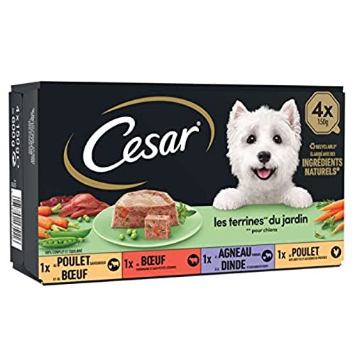 CESAR Barquettes en terrine - 4 vari t s - Pour chien adulte - 4 x 150 g