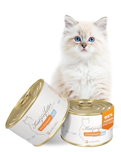  95% ganzer Hering I Lebensmittelqualität I für I Hering aus der Nordsee I 4x200g