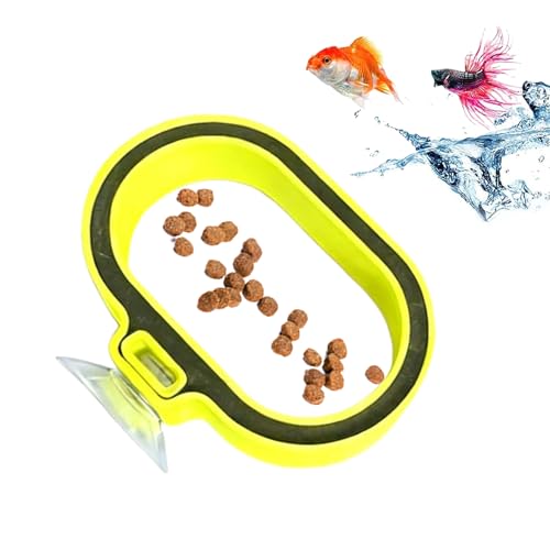 Fischfutterautomat - Mit Saugnapf Als Futterbehälter Und Befestigung Aufsatz Für Fischfütterung Für Familie Freunde Aquarienliebhaber Mit Salzwasserbecken Für Innen- Und Außenbereic