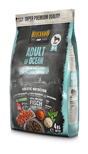 Belcando Adult GF Ocean 4 kg getreidefreies Hundefutter Sortenreines Trockenfutter ohne Getreide mit Fisch Alleinfutter für ausgewachsene Hunde ab 1 Jahr
