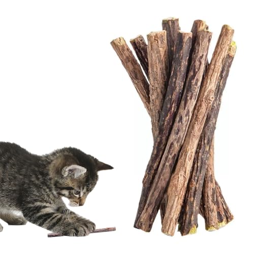 12 Stück Holz Katzenminze Stäbchen Natürliches Katzenspielzeug zur Zahnpflege und Zahnsteinentfernung Kauholz mit Katzenminze für Katzen Dental-Spielzeug zur Mundhygiene 0.6-0.8cm Durchmesser
