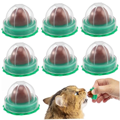 BESPORTBLE 10 Stück Katzenminze Leckball Katzensnacks Mit Fischleim Zur Harnsystempflege Klebbar An Möbel Und Wand Katzenleckerlis Für Indoor Haustiere