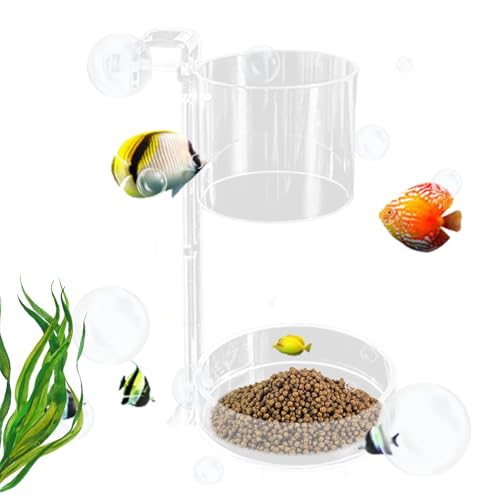 Shrimp Feeder Schwimmend Sinkend Futterspender Für Aquarien Kleinere Räume Wohnzimmer Anfänger Hobbyisten Enthusiasten