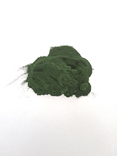 MK-Versand Triops Spirulina Jungtierfutter Algenpulver Urzeitkrebse Garnelenfutter Aufzucht Futter Krebs 10 Gramm