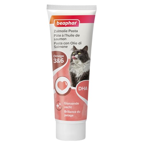  P te au Saumon sp cial beaut du Pelage du Chat