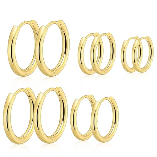 JEYORZY 5 Paar Creolen Klein Ohrring Aus Edelstahl Für Damen Und Herren Für Damen Herren Chirurgenstahl Knorpel Hypoallergenes Ohrring-Set Rund Ohrringe Knorpel 8mm 10mm 12mm 14mm 16mm Gold