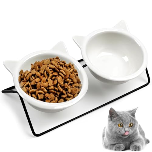 Roysmart Futternapf Katze Keramik Erhöhter Futternapfs Katzen 15 Geneigtem für Katzen und Kleine Hunde Sachen Katzennapf Aus Keramik Erhöhter Keramiknapf Abnehmbarer Futternapf Katze Erhöht