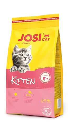 JosiCat Kitten 1 x 1 9 kg Junior Premium Trockenfutter für wachsende sowie tragende säugende Katzen mit hohem Energiegehalt wertvollem Lachsöl Vitaminen Powered by JOSERA 1er Pack