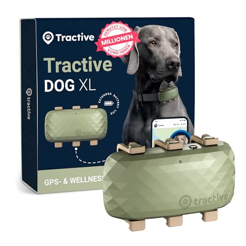 Tractive XL GPS für Hunde Empfohlen von Martin Rütter Bis zu 1 Monat Akku Weltweite Live Ortung Weglaufalarm Gesundheitswarnungen Aktivitätstracking Mehrfacher Testsieger