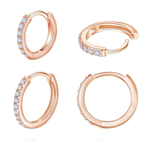 LICHUANUK 2 Paare Silber Creolen für Frauen - Titan Stahl Mit Zirkonia Ros gold Sleeper Knorpel 6 8mm