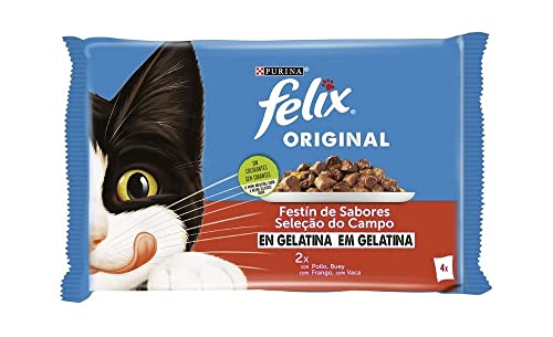 Felix Purina Gelatine Nassfutter für Erwachsene Katzen Verschiedene Fleischsorten 4 Beutel 85 g