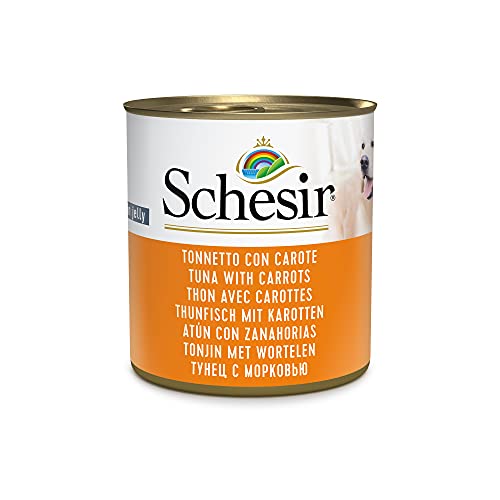 Schesir Dog Thunfisch mit Karotte Hundefutter nass 16 Dosen x 285 g