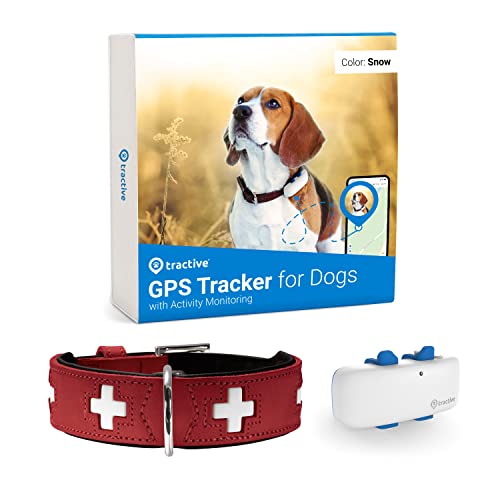 HUNTER Halsband Swiss XS S 37 rot schwarz für Weiß mit unbegrenzter Reichweite Hundehalsband