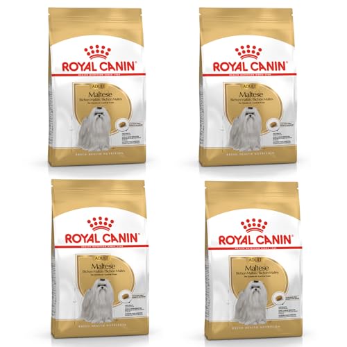 Royal Canin Maltese Adult 4er Pack 4 x 500 g Trockenfutter für ausgewachsene Malteser Zur Unterstützung des Fells und der Verdauung Für Hunde ab dem 10. Lebensmonat