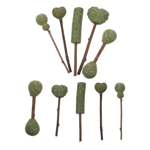 Gadpiparty 10 Stück Teiliges Katzenminze Lutscher Essbares Kätzchenspielzeug Kausticks zur Zahnreinigung Leichtes Katzenkau Mehr Bewegung und Spaß Fördert Verdauung und Beschäftigung