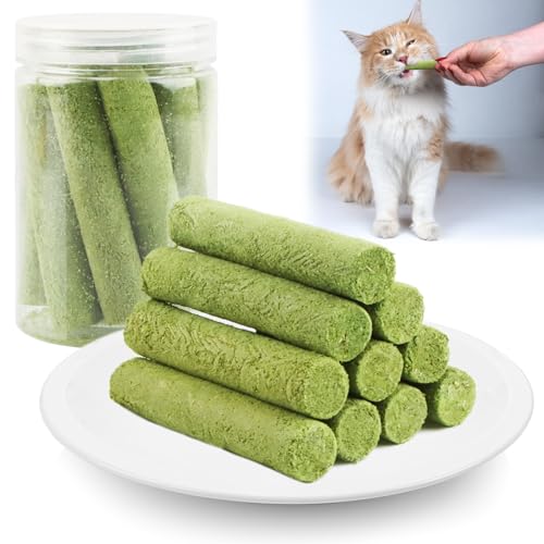 Jemmytu Katzengras Sticks 10 stück Beißstäbe Aus Katzengras für Hauskatzen Katzengras Snacks in Dosen Katzengras Beissstäbchen zur Verbesserung der Katzenverdauung