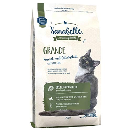  Grande Balanced komplettes und glutenfreies Trockenfutter für große Rassen 2x