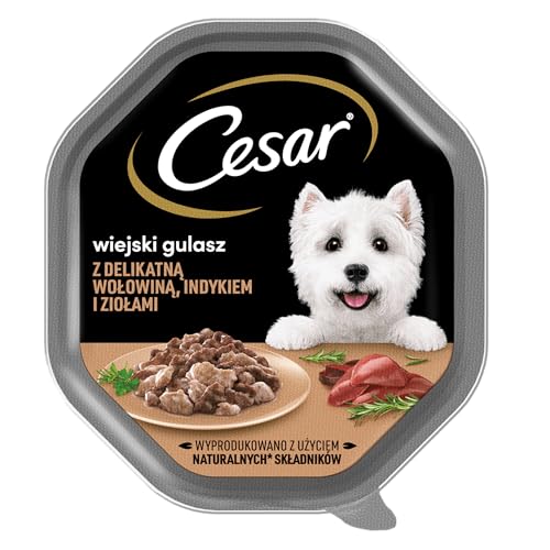 Cesar Landragout Nassfutter für ausgewachsene Hunde mit zartem Truthahn Rind und Kräutern Schale 6 x 150g