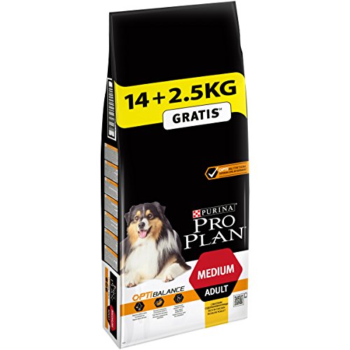 Pro Plan Dog Medium Adult Reich an Huhn Trockenfutter Beutel