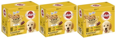 PEDIGREE Multipack - Verschiedene Geschmacksrichtungen 3x12x100g Junior 4 Varietäten in Gelee mit Huhn Rind Leber Geflügel Lamm Leber