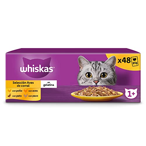 Whiskas Nassfutter für Erwachsene Katzen Auswahl Vögel in Gelatine Multipack 4 x 12 Beutel x 85 g