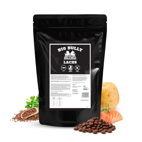 BULL BULLY Big Bully Lachs 250 g Hundefutter Trocken Getreidefrei Energiereiches Trockenfutter Hundeleckerli für Starke aktive Hunde Dog Food Leckerlis für Hunde mit viel Protein