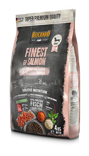 Belcando Finest GF Salmon 4 kg getreidefreies Hundefutter Trockenfutter für kleine mittlere Hunde Alleinfuttermittel für Hunde ab 1 Jahr